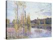 Stretched Canvas Print