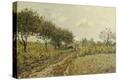 Stretched Canvas Print