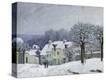 Stretched Canvas Print