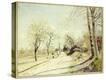 Stretched Canvas Print