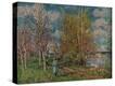 Stretched Canvas Print