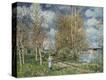 Stretched Canvas Print