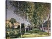 Stretched Canvas Print
