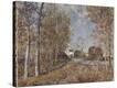Stretched Canvas Print