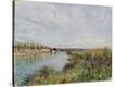 Stretched Canvas Print