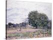 Stretched Canvas Print