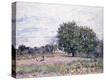 Stretched Canvas Print