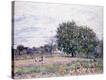 Stretched Canvas Print