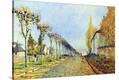 Stretched Canvas Print