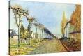 Stretched Canvas Print