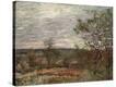 Stretched Canvas Print