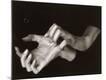 Premium Photographic Print