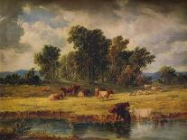 Landscape with Cows, 19Th Century (Oil on Canvas)-Alfred Vickers-Giclee Print