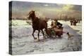 Stretched Canvas Print