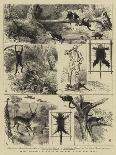 Sketches at the Yellowstone Park of North America-Alfred W. Cooper-Mounted Giclee Print