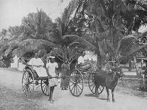 'Roadside Scene on the Way to Mt. Lavinia', c1890, (1910)-Alfred William Amandus Plate-Framed Photographic Print