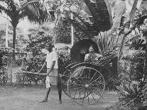 'Tamil Lady in Rickshaw', c1890, (1910)-Alfred William Amandus Plate-Photographic Print