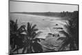 Photographic Print