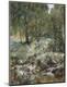 Giclee Print