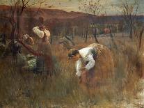 Harvesting Almonds, 1889-Alfredo Ricci-Mounted Giclee Print