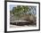 Alfresco Restaurants, Place De L'Horloge, Avignon, Provence, France, Europe-Peter Richardson-Framed Photographic Print