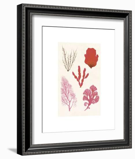 Algae 21-null-Framed Art Print