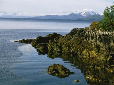 Algae Covered Rocks Snow Covered Mountains Around Prince Willam