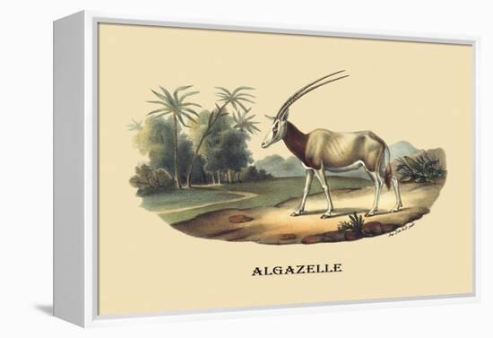 Algazelle-E.f. Noel-Framed Stretched Canvas