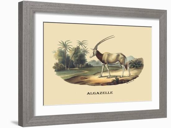 Algazelle-E.f. Noel-Framed Art Print