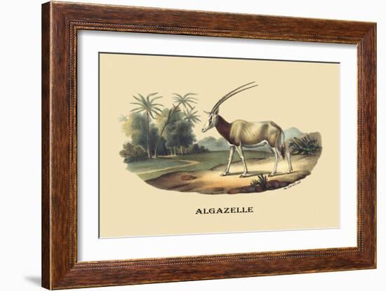 Algazelle-E.f. Noel-Framed Art Print