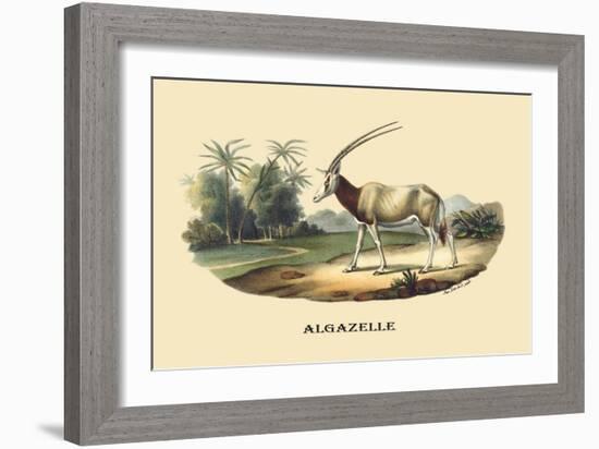 Algazelle-E.f. Noel-Framed Art Print