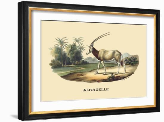 Algazelle-E.f. Noel-Framed Art Print