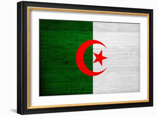 Algeria Flag Design with Wood Patterning - Flags of the World Series-Philippe Hugonnard-Framed Premium Giclee Print