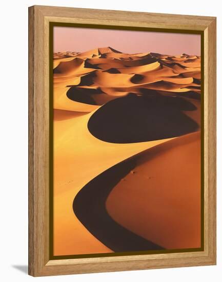 Algeria, Sahara, Great Western Erg, Oasis-Thonig-Framed Premier Image Canvas