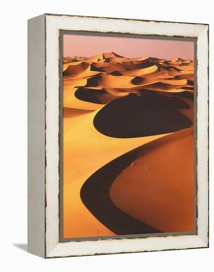 Algeria, Sahara, Great Western Erg, Oasis-Thonig-Framed Premier Image Canvas
