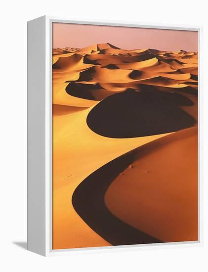 Algeria, Sahara, Great Western Erg, Oasis-Thonig-Framed Premier Image Canvas