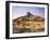 Algeria, Sahara, Rock Desert, Vegetation, Meager, Grasses, Shrubs-Thonig-Framed Photographic Print