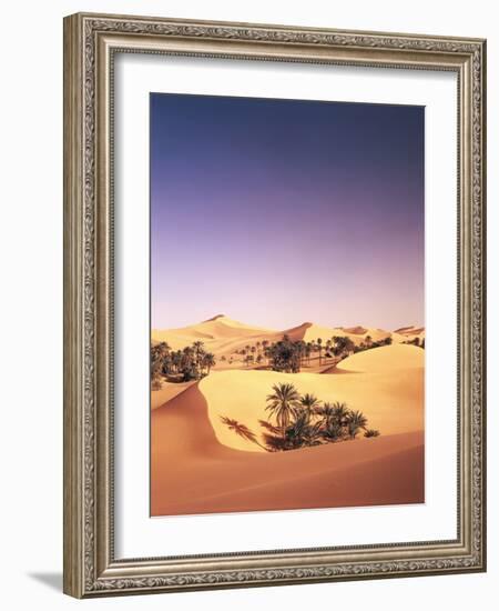 Algeria, Sahara, Sand Dunes, Palm Grove-Thonig-Framed Photographic Print