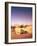 Algeria, Sahara, Sand Dunes, Palm Grove-Thonig-Framed Photographic Print