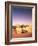 Algeria, Sahara, Sand Dunes, Palm Grove-Thonig-Framed Photographic Print