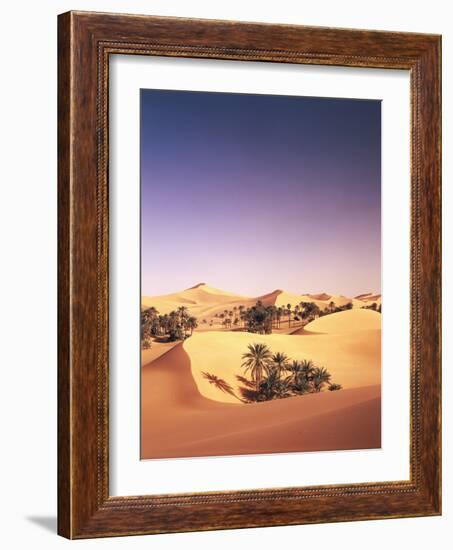 Algeria, Sahara, Sand Dunes, Palm Grove-Thonig-Framed Photographic Print