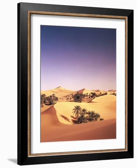 Algeria, Sahara, Sand Dunes, Palm Grove-Thonig-Framed Photographic Print