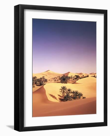 Algeria, Sahara, Sand Dunes, Palm Grove-Thonig-Framed Photographic Print