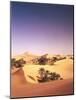 Algeria, Sahara, Sand Dunes, Palm Grove-Thonig-Mounted Photographic Print