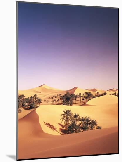 Algeria, Sahara, Sand Dunes, Palm Grove-Thonig-Mounted Photographic Print