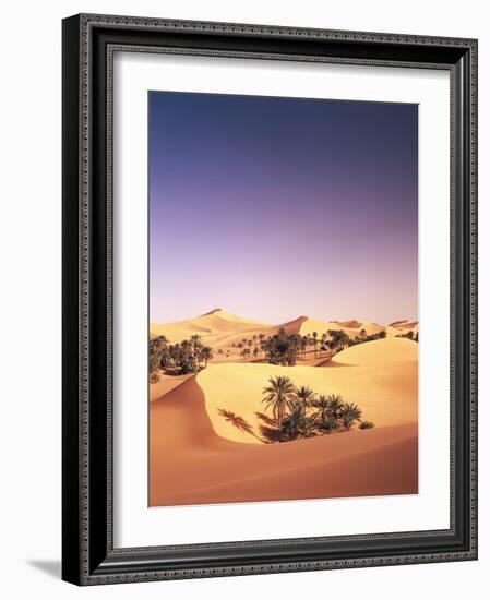 Algeria, Sahara, Sand Dunes, Palm Grove-Thonig-Framed Photographic Print