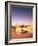 Algeria, Sahara, Sand Dunes, Palm Grove-Thonig-Framed Photographic Print