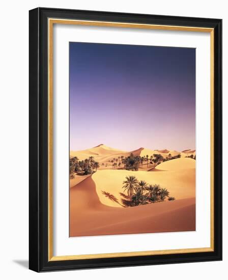 Algeria, Sahara, Sand Dunes, Palm Grove-Thonig-Framed Photographic Print