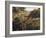 Algerian Landscape, 1881-Pierre-Auguste Renoir-Framed Giclee Print