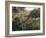 Algerian Landscape: the Ravine De La Femme Savage-Pierre-Auguste Renoir-Framed Art Print